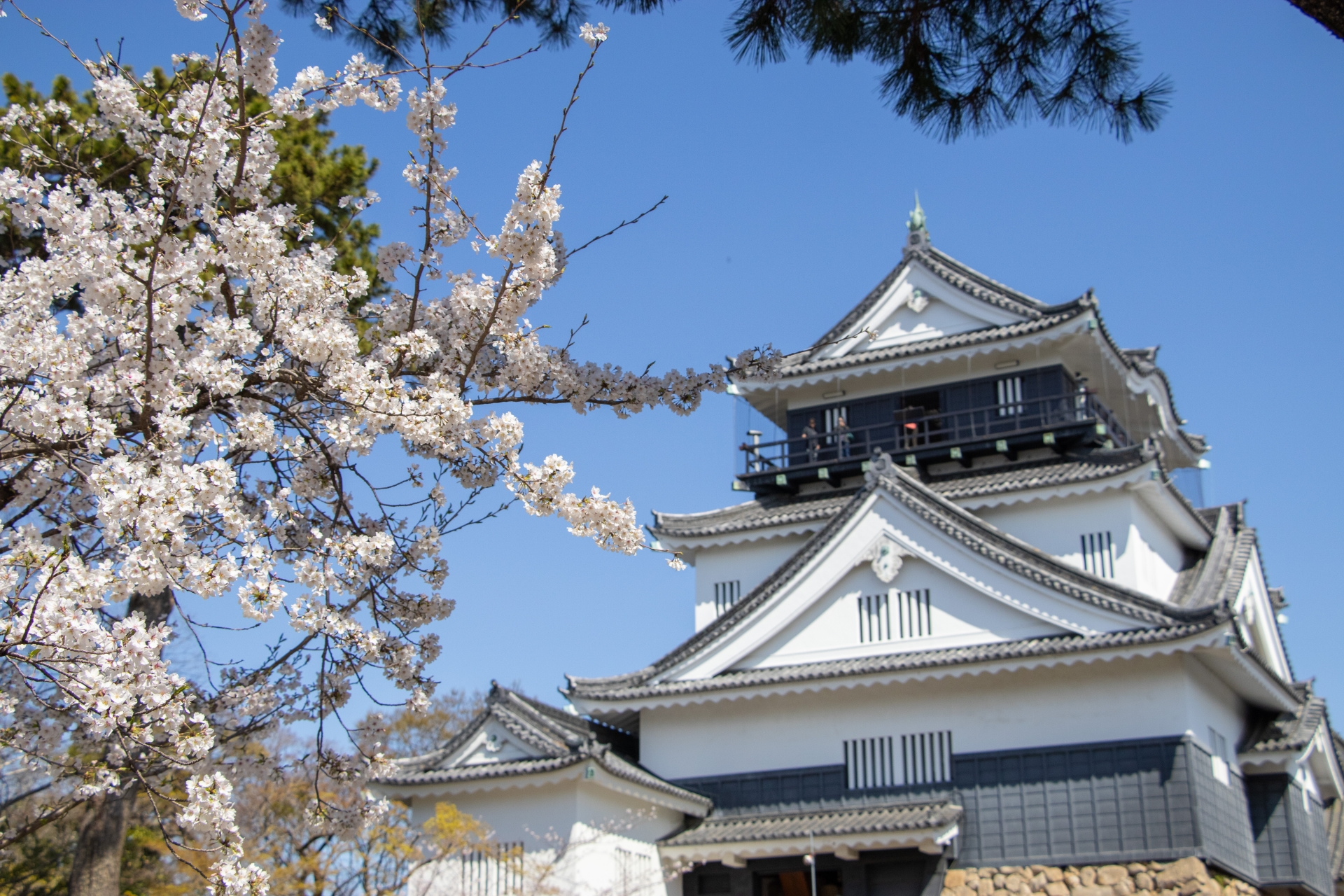 【alt属性: 岡崎城と名古屋方面へ向かう電車のイメージ。名古屋へのアクセスの良さが調査に与える影響】